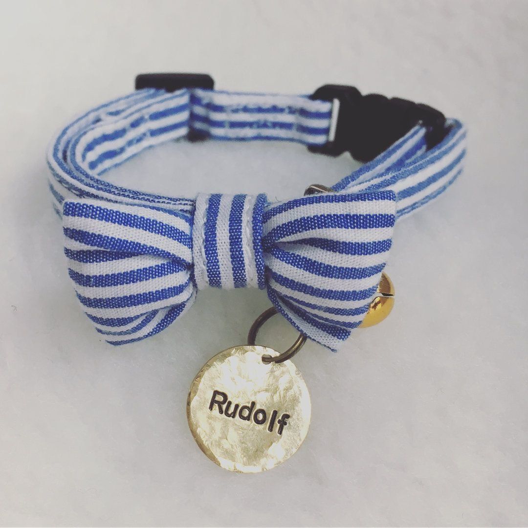 ルドルフくんの迷子札と首輪