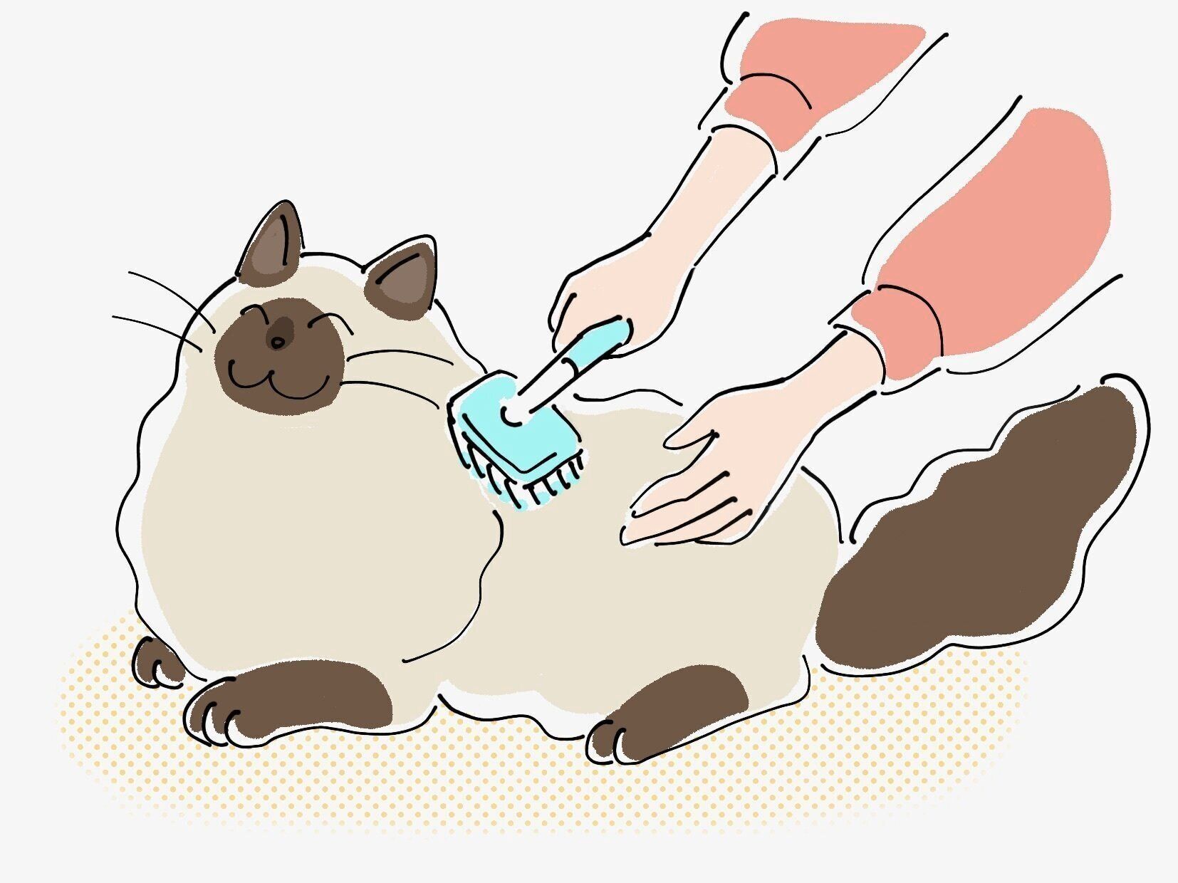 イラスト／はなさきロージー