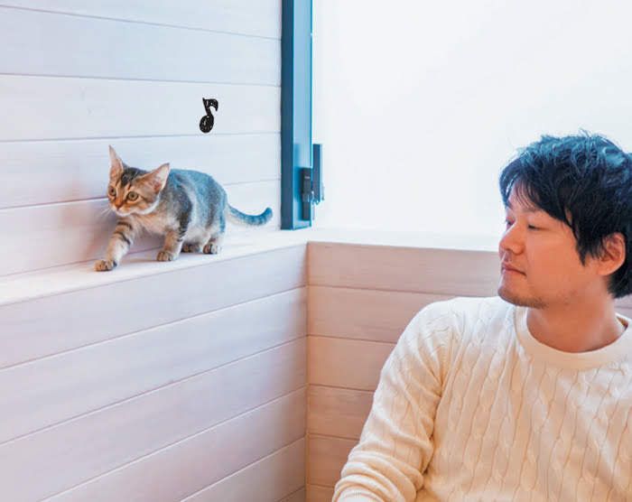 猫の様子を見ている人と子猫