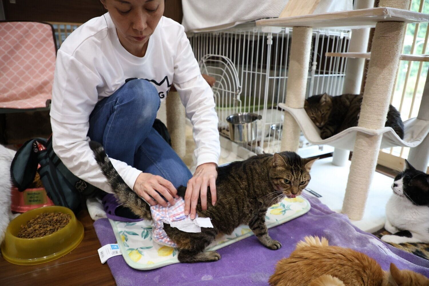 撮影／尾﨑たまき