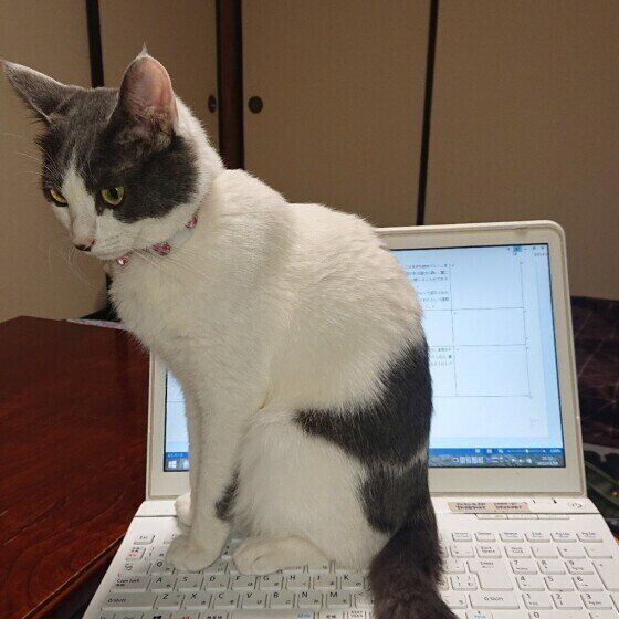 お邪魔中の海依ちゃん