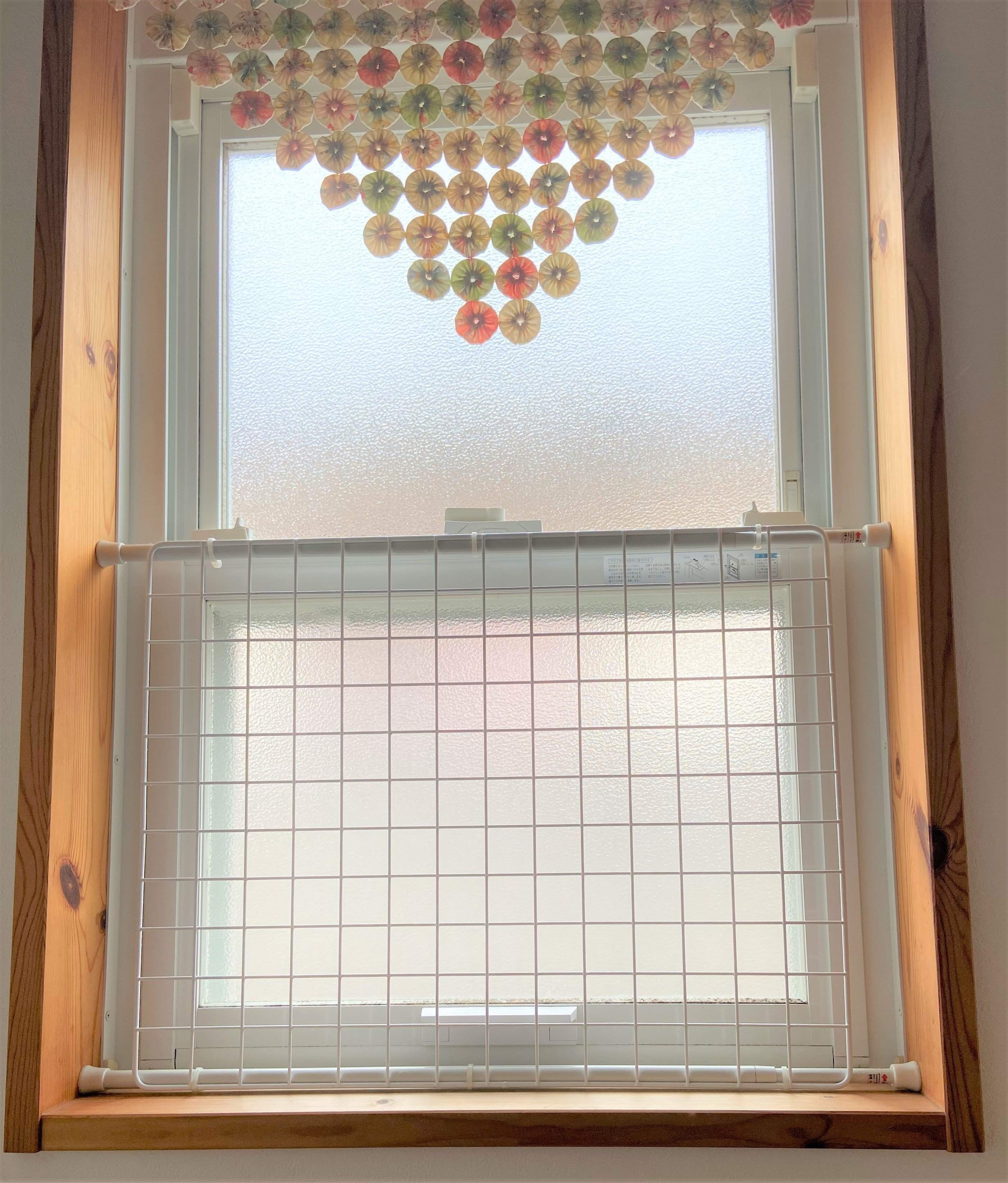 画像／ねこのきもち