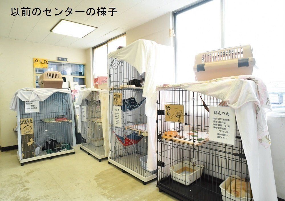 撮影／尾﨑たまき