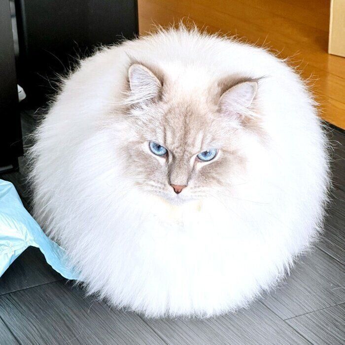 まん丸ないれぶんくん