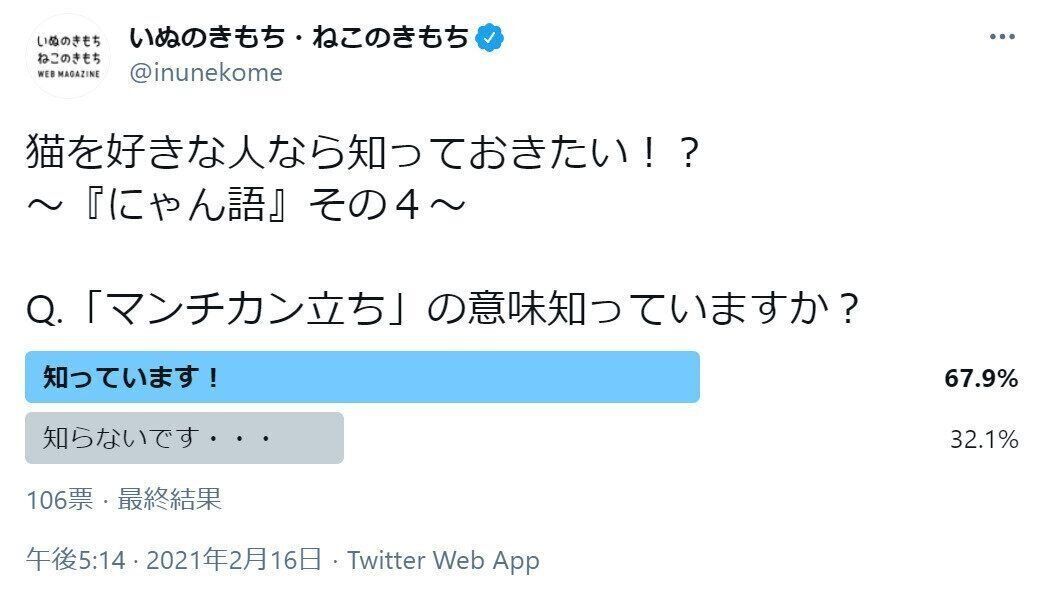 マンチカン立ちについてのアンケート結果