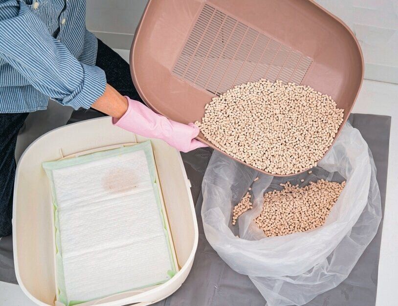 トイレ砂とペットシーツを捨てる