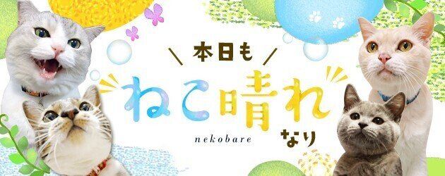 ねこのきもちWEB MAGAZINE「本日もねこ晴れなり」