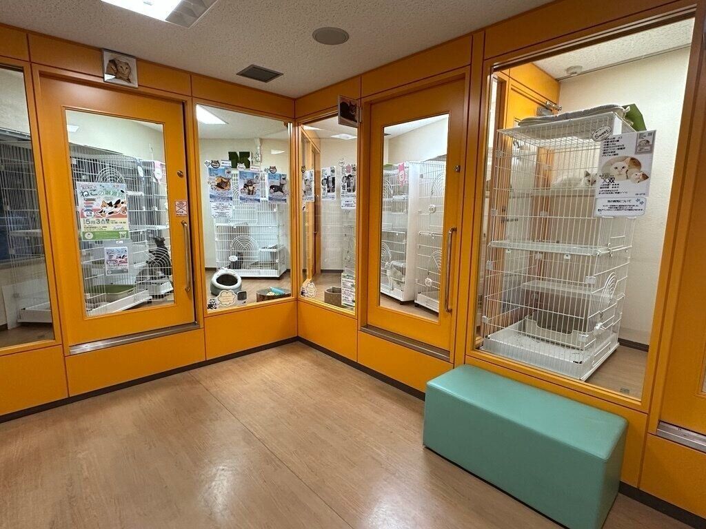 写真提供／名古屋市動物愛護センター