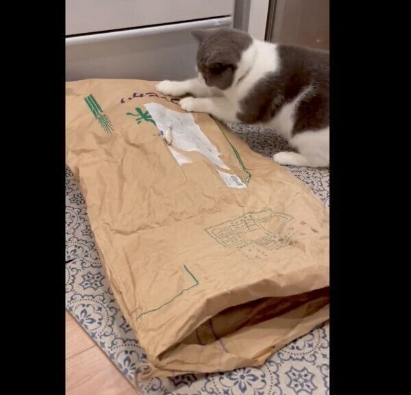 お米の袋を掘るまるくん