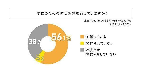 愛猫のための防災対策を行っていますか？