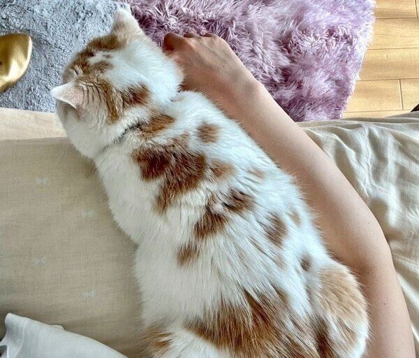 脇に挟まるホイちゃん