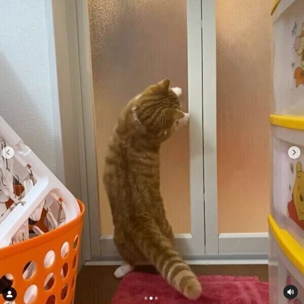 お風呂場で大好きなママを待つちくわくん