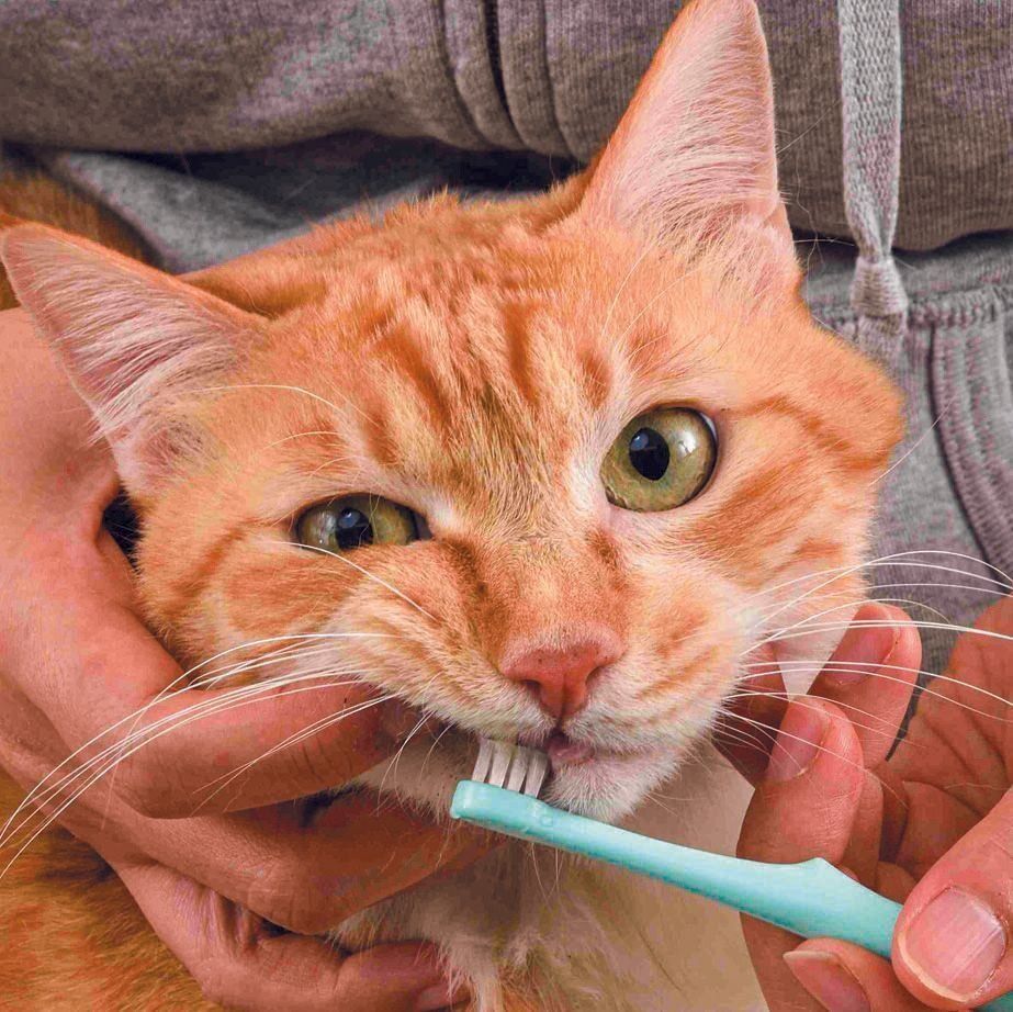 撮影／佐藤正之