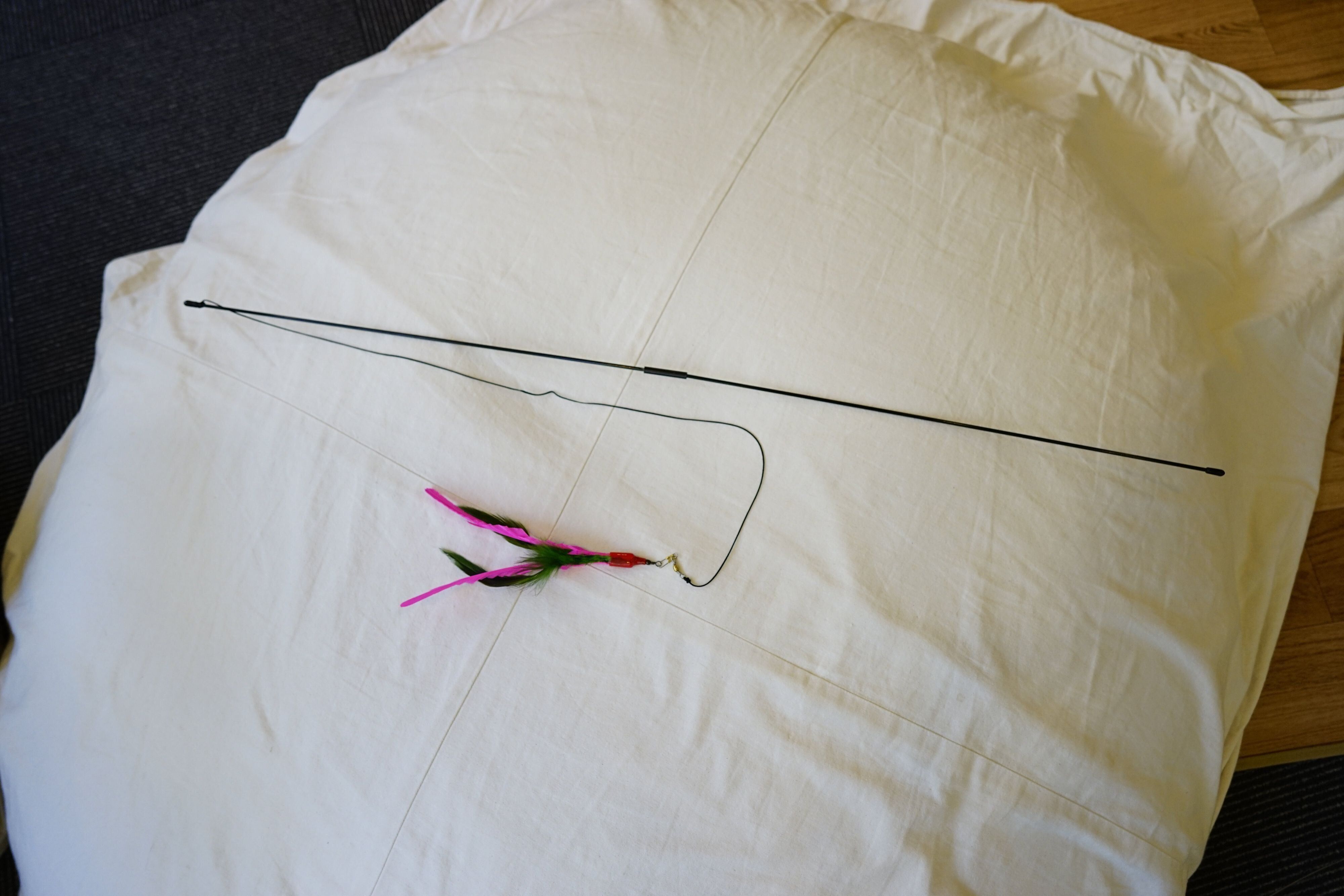 撮影／石原さくら