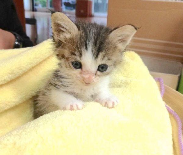 初対面したときのなるちゃん