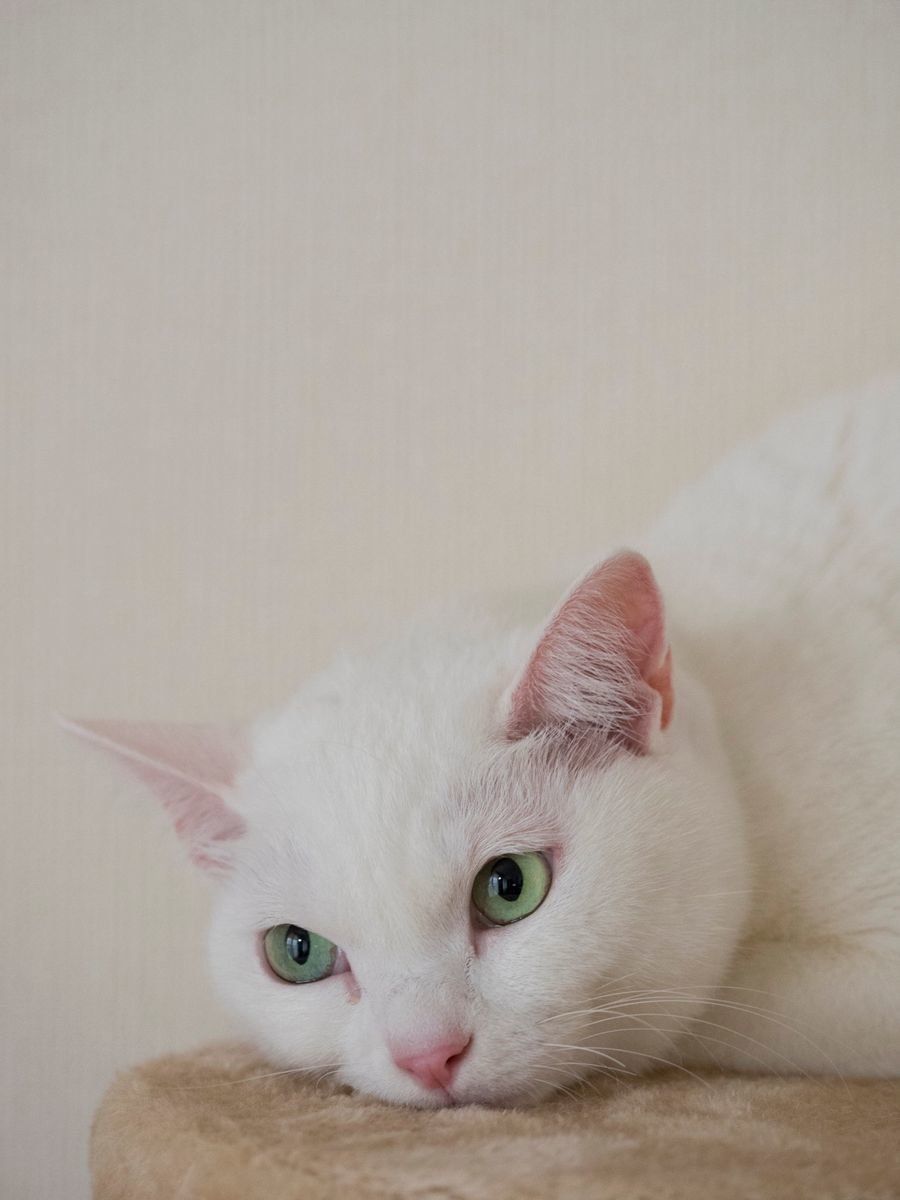 撮影／小森正孝