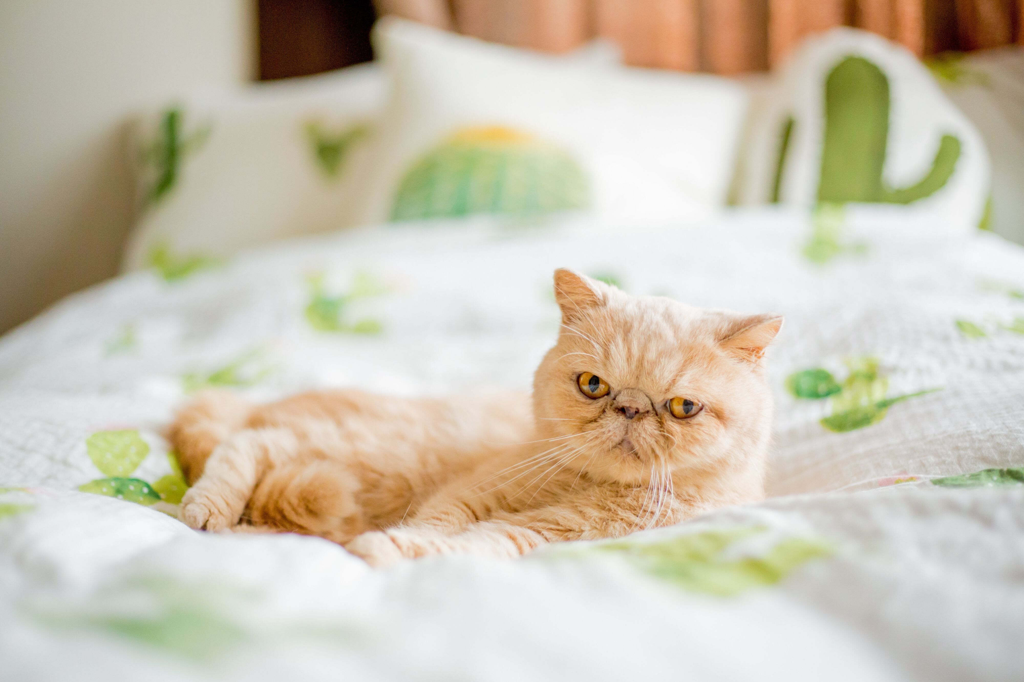 撮影／長谷川里美