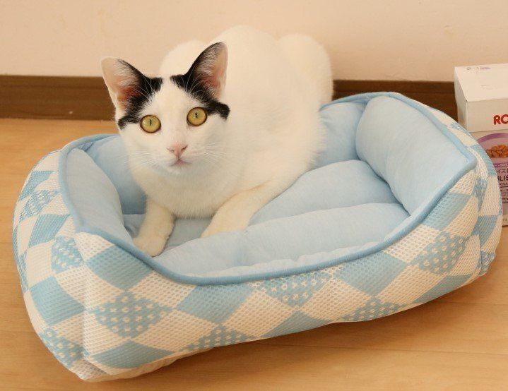 撮影／尾﨑たまき