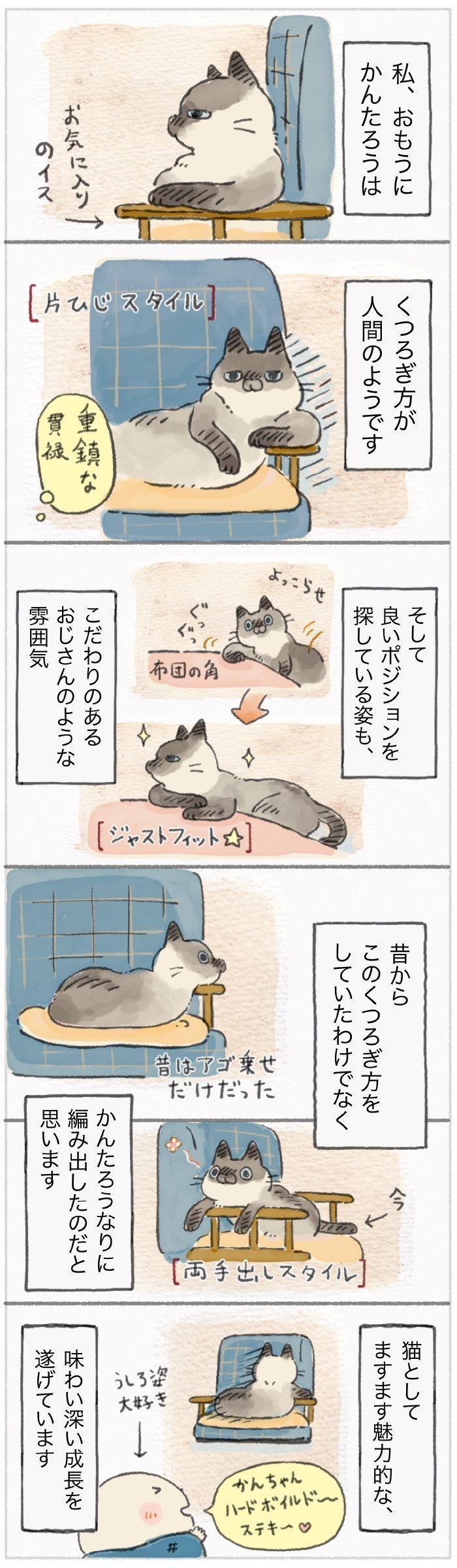 「ねこ連れ草」92話め