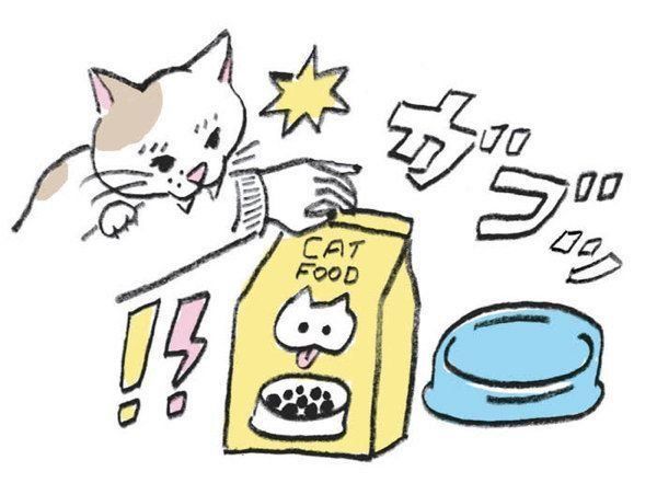 YES or NOが見極めにくい猫の5つの行動やしぐさ