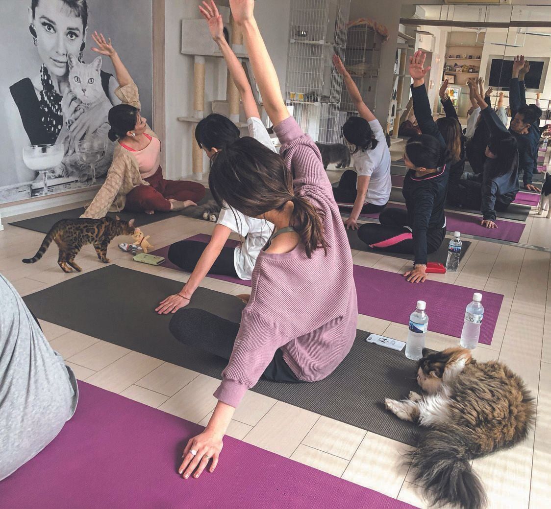 写真提供／猫の屋　おでん