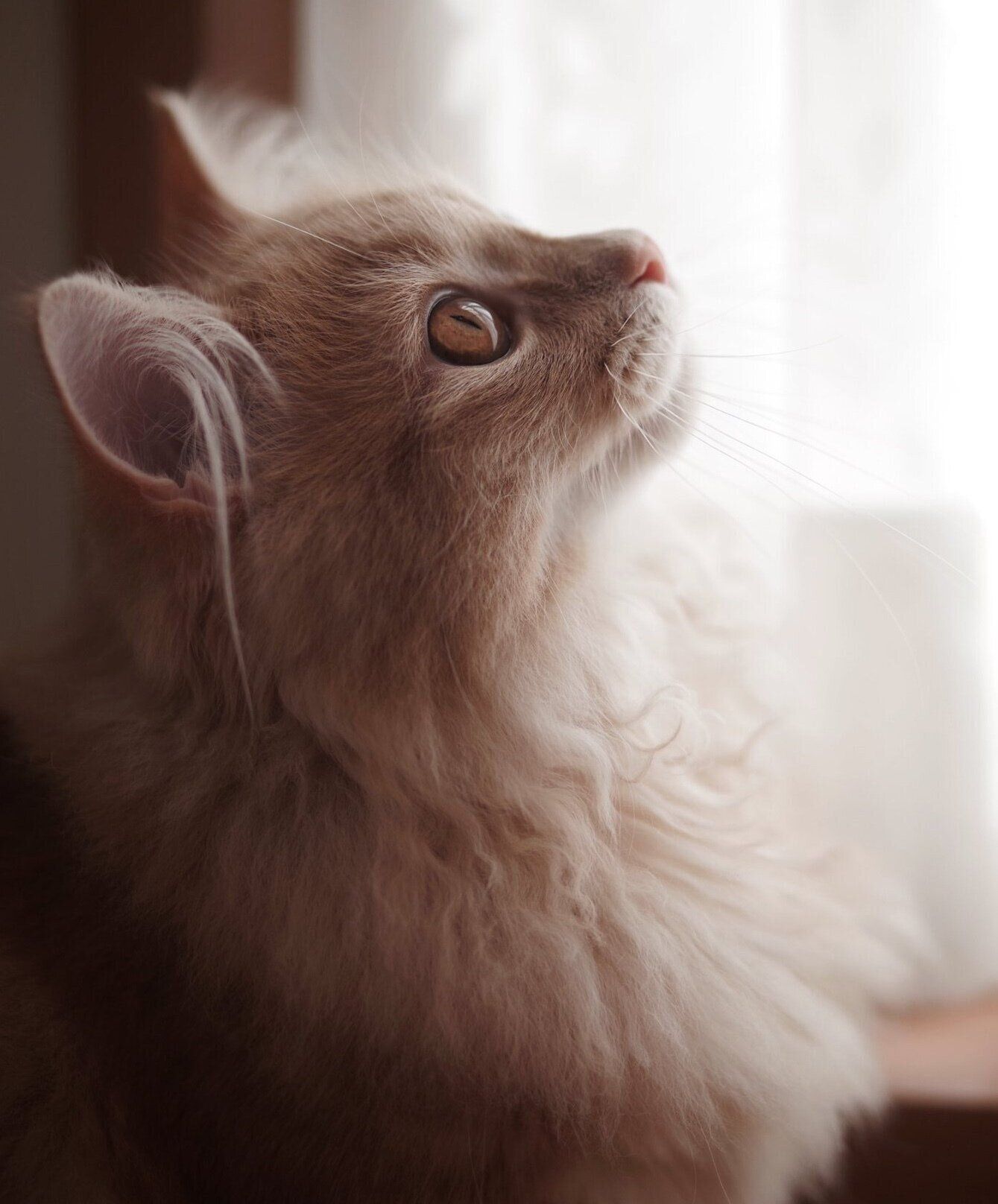 横顔も美しい紬くん