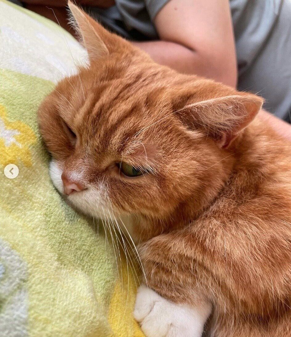 まったりするちくわくん