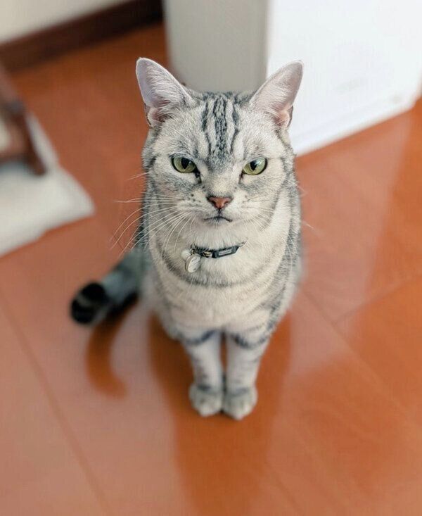 見つめるベルちゃん