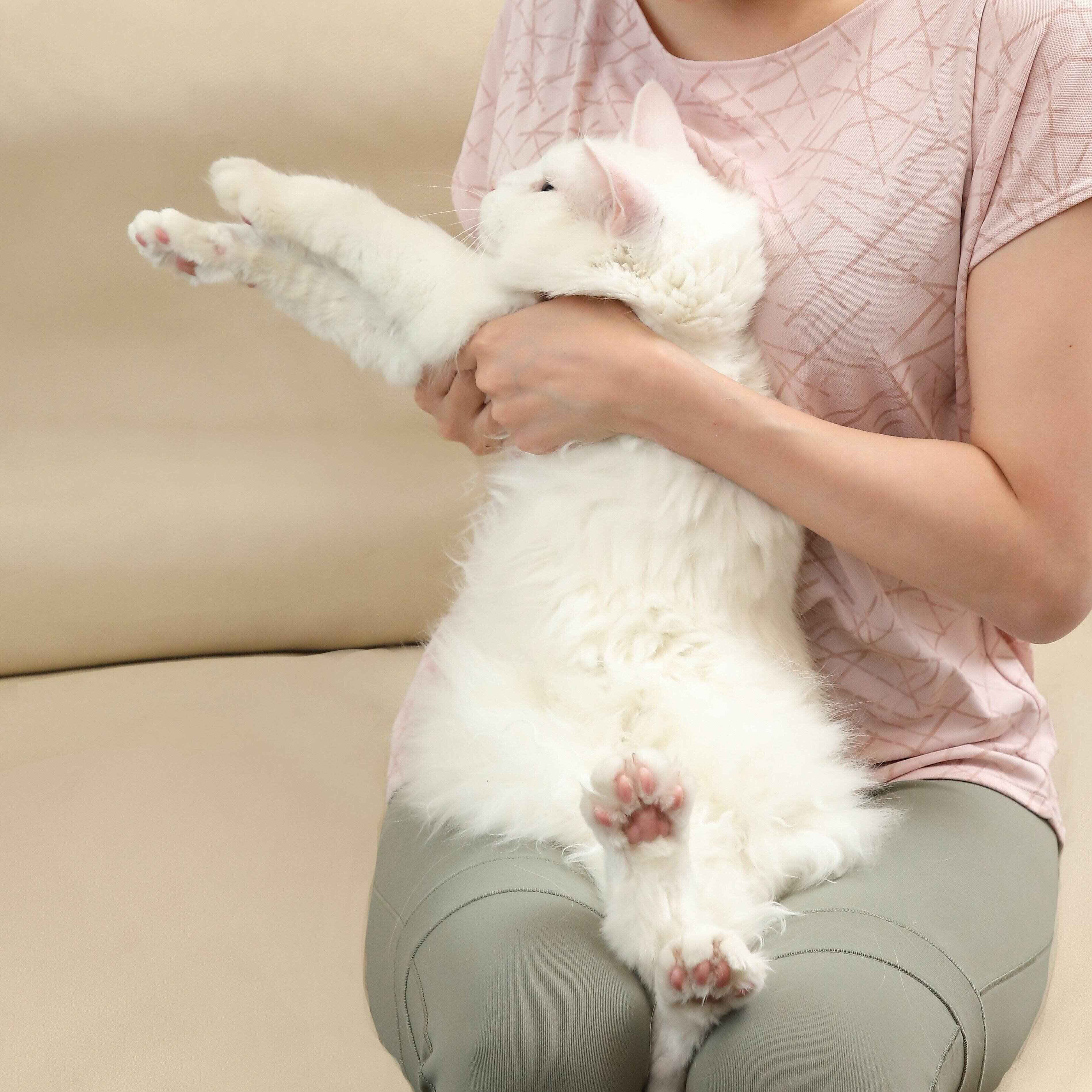 撮影／尾﨑たまき