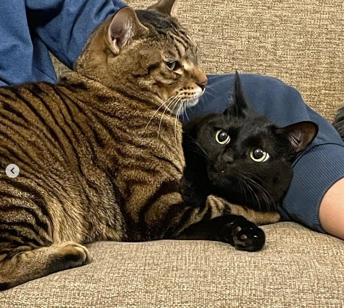 ソルくんとモナちゃん