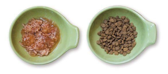 撮影／中川文作