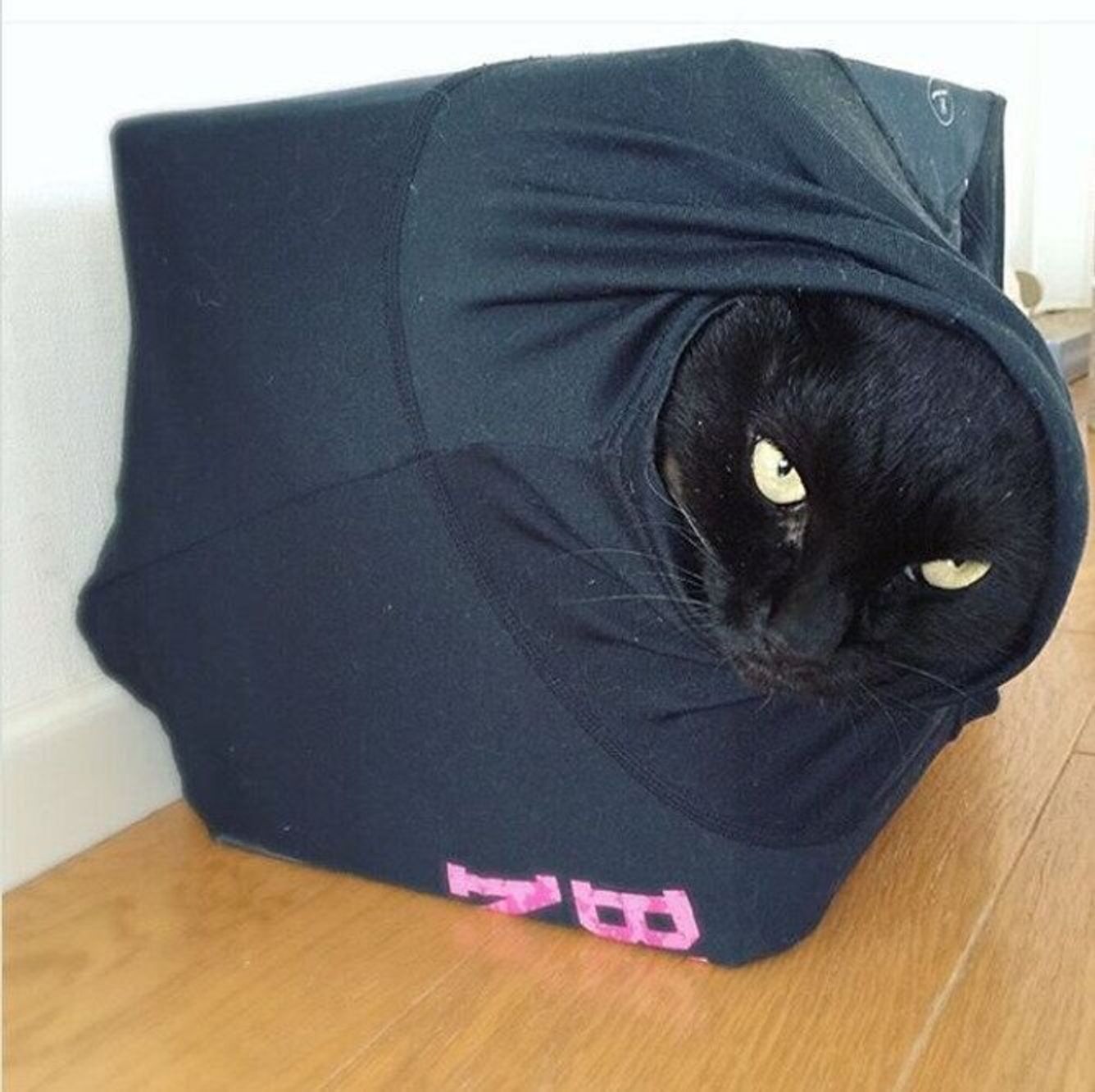 ダンボールにtシャツを被せるだけでok キャットハウスを作ってみよう ねこのきもちweb Magazine ダンボールにtシャツを被せるだけでok キャットハウスを作ってみよう ねこのきもちweb Magazine