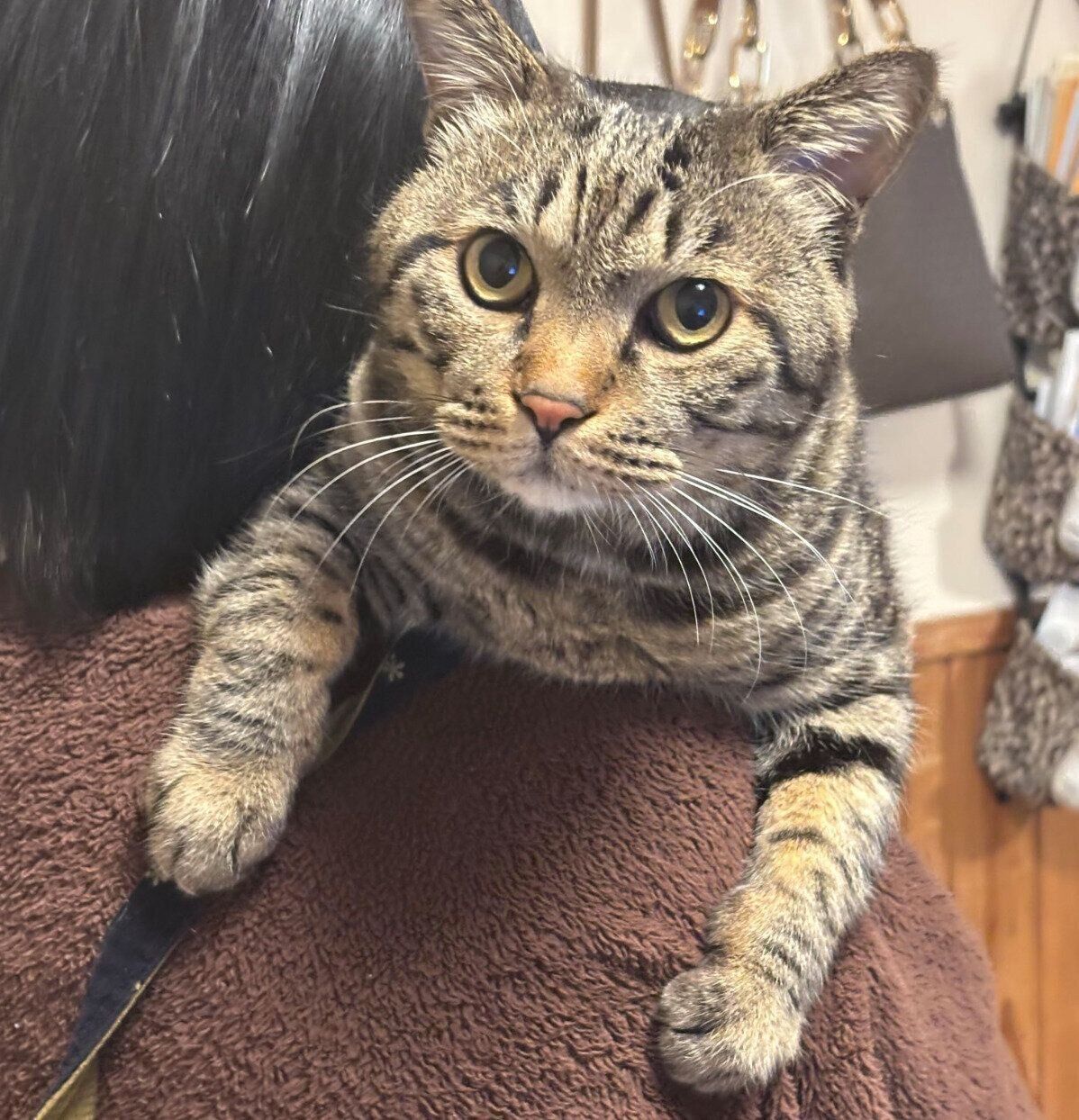 ママさんに抱っこしてもらう虎三郎くん