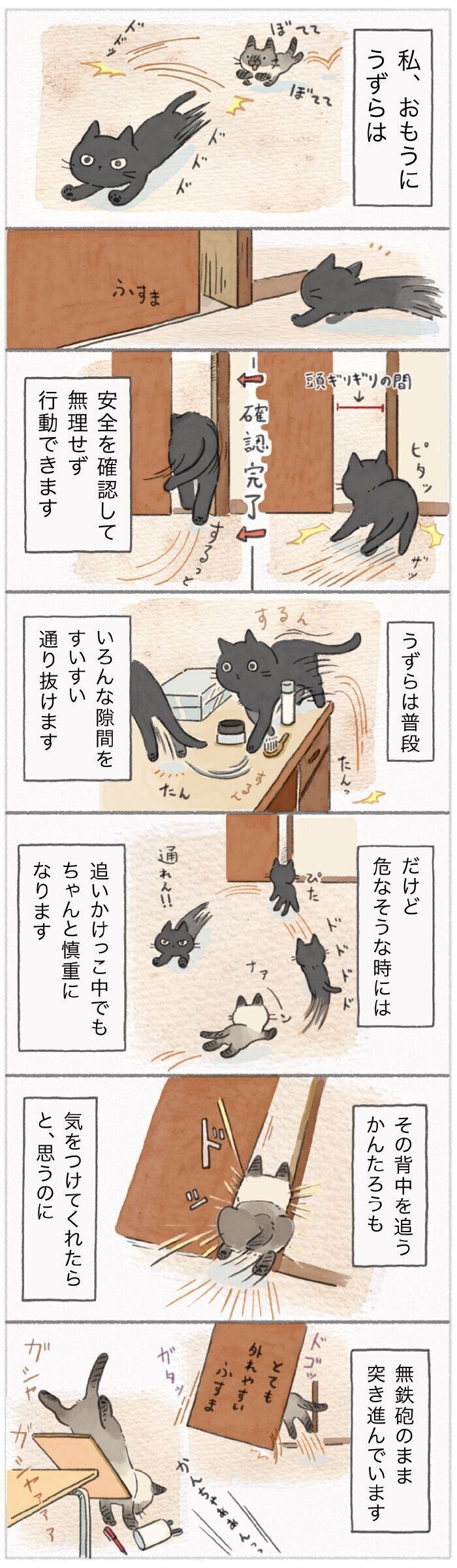 「ねこ連れ草」186話め