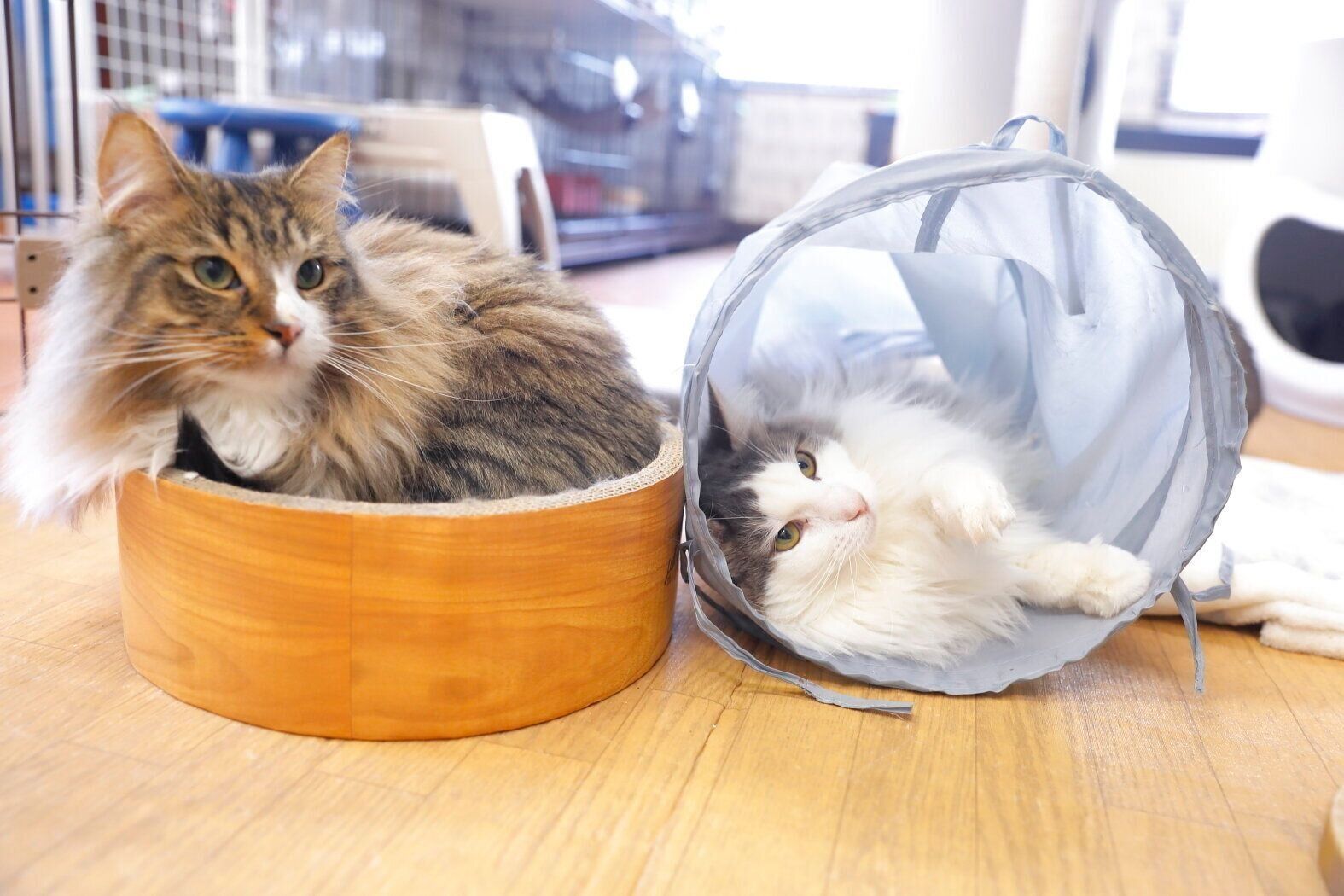 撮影／後藤さくら