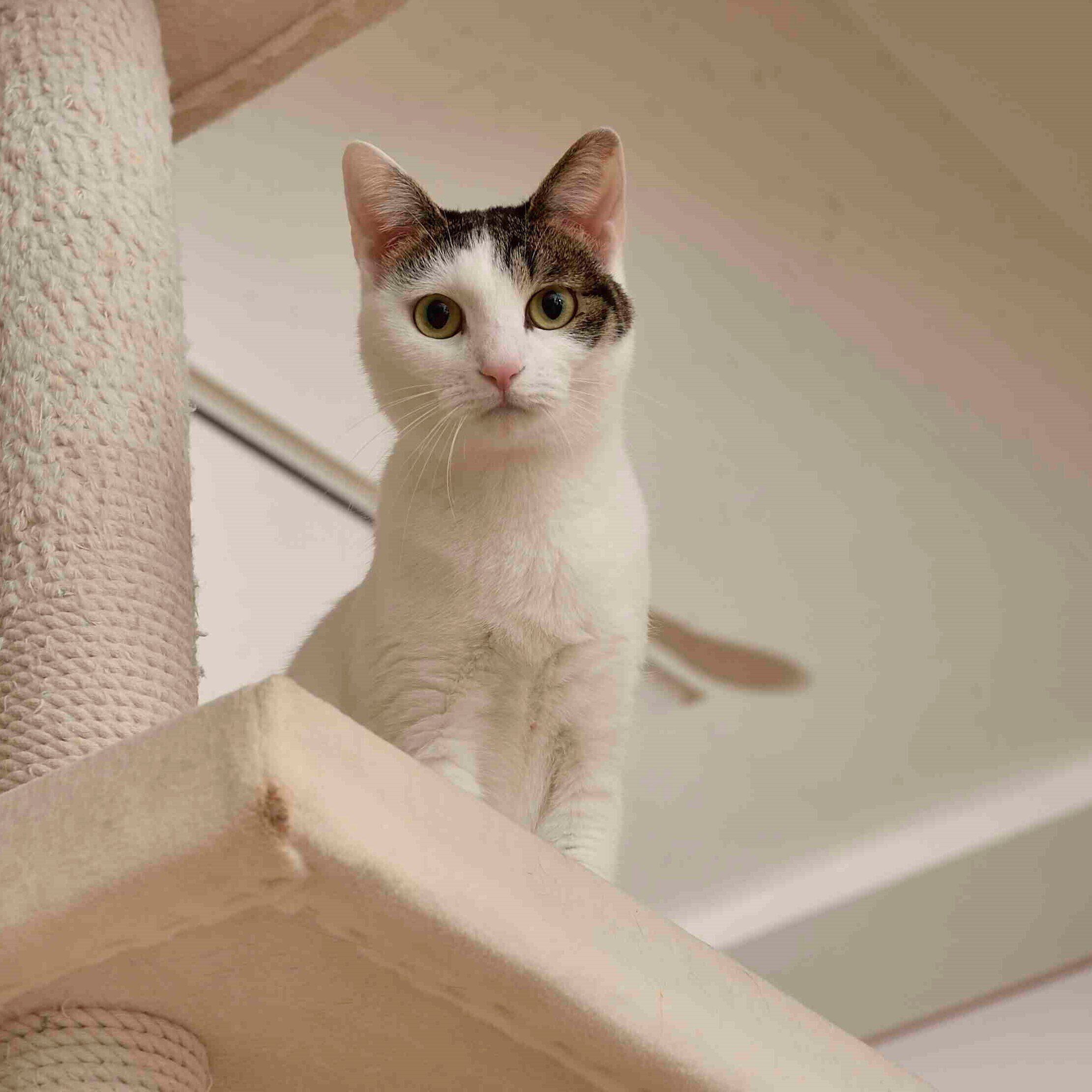 撮影／佐藤正之