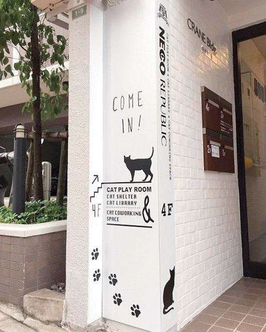 東京 文京区 猫カフェ ネコリパブリック 御茶ノ水