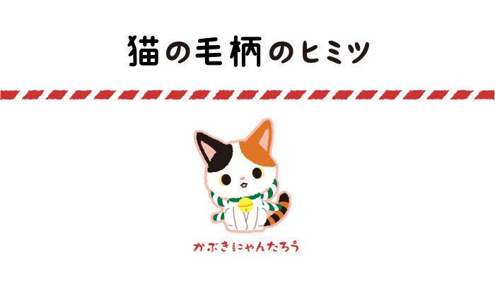 猫の毛柄のヒミツ