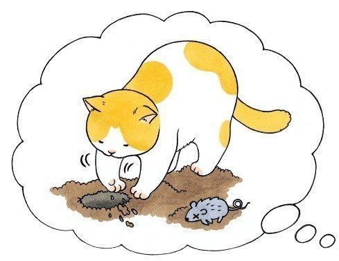 イラスト／こんの　ゆか