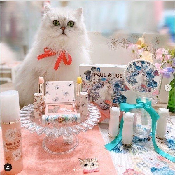PAUL & JOEの猫コスメ