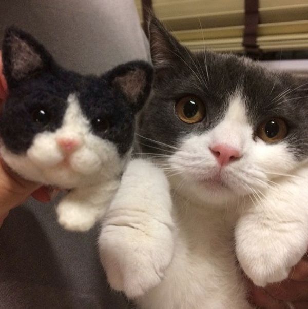 うちねこバッヂ