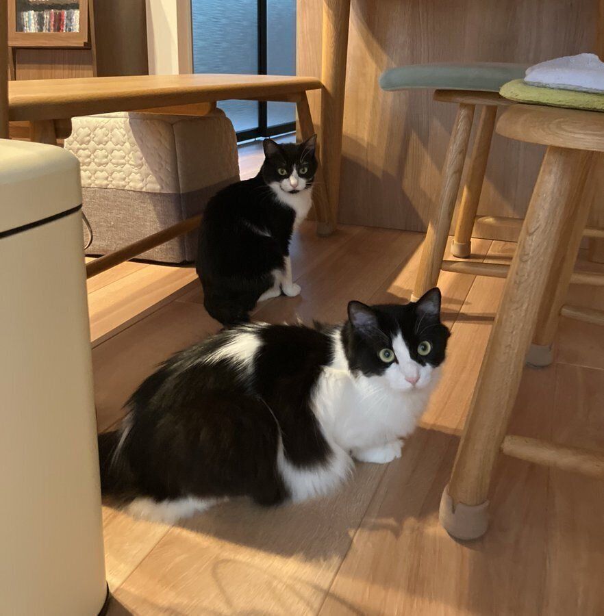 お迎えから2カ月