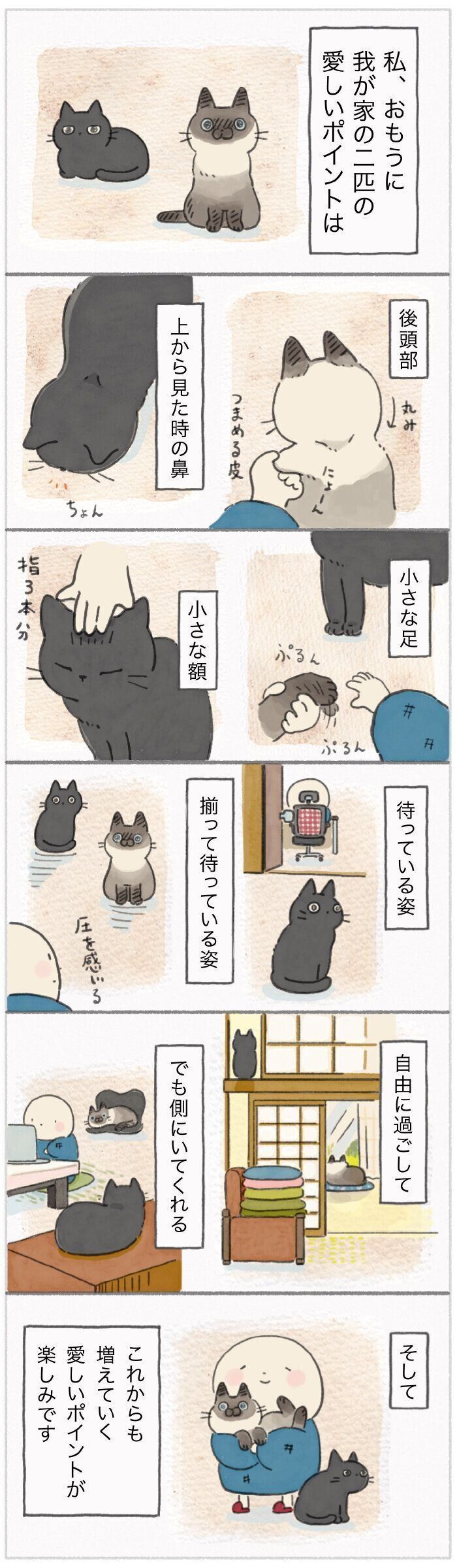 「ねこ連れ草」200話め