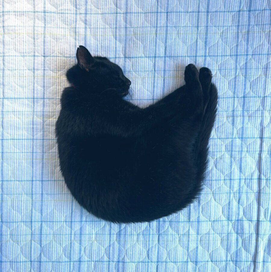 話題になった投稿写真