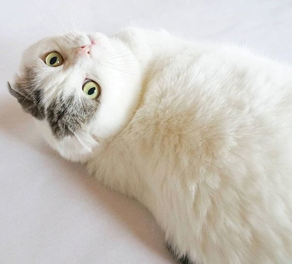 振り向くライくん