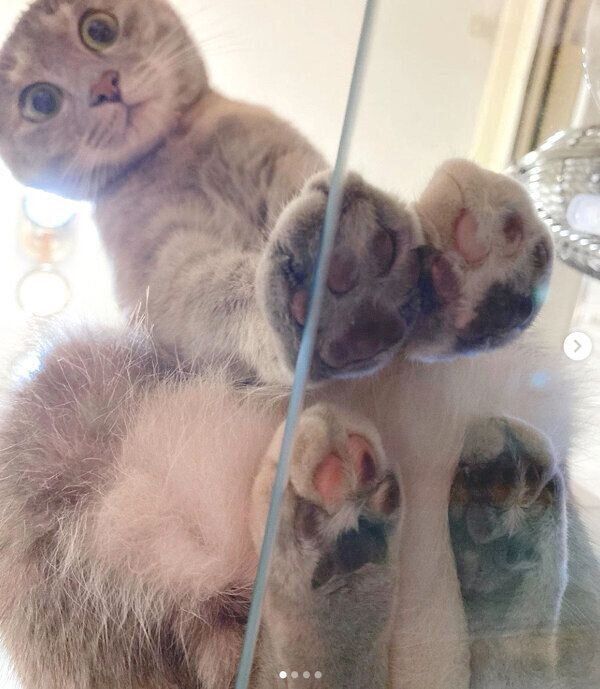 見つめるくぅちゃん