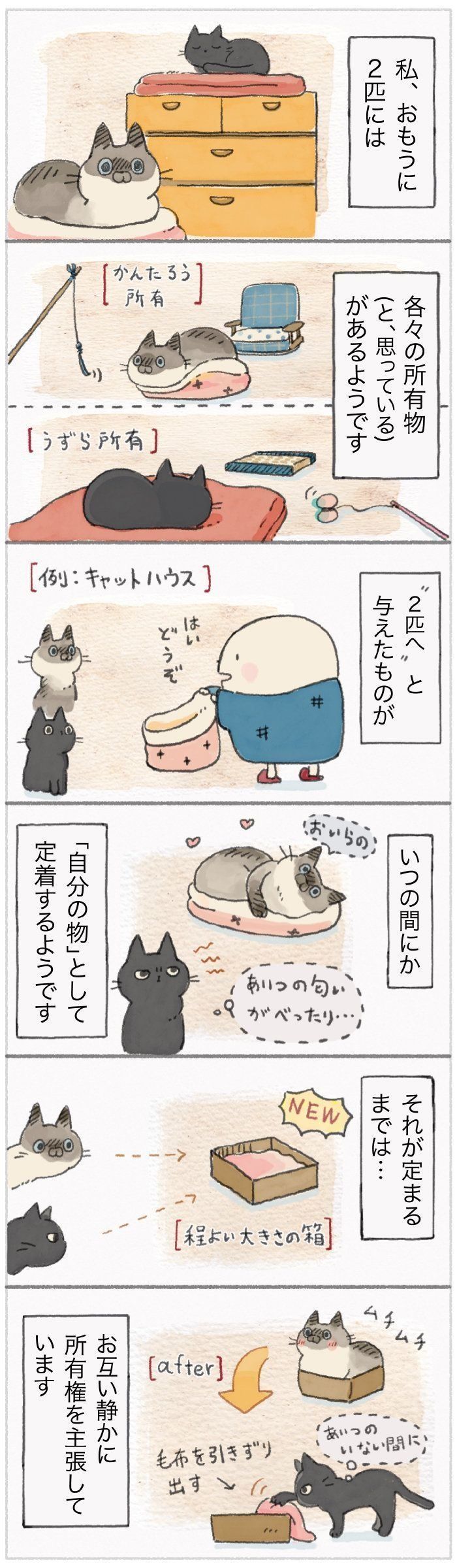 「ねこ連れ草」72話め