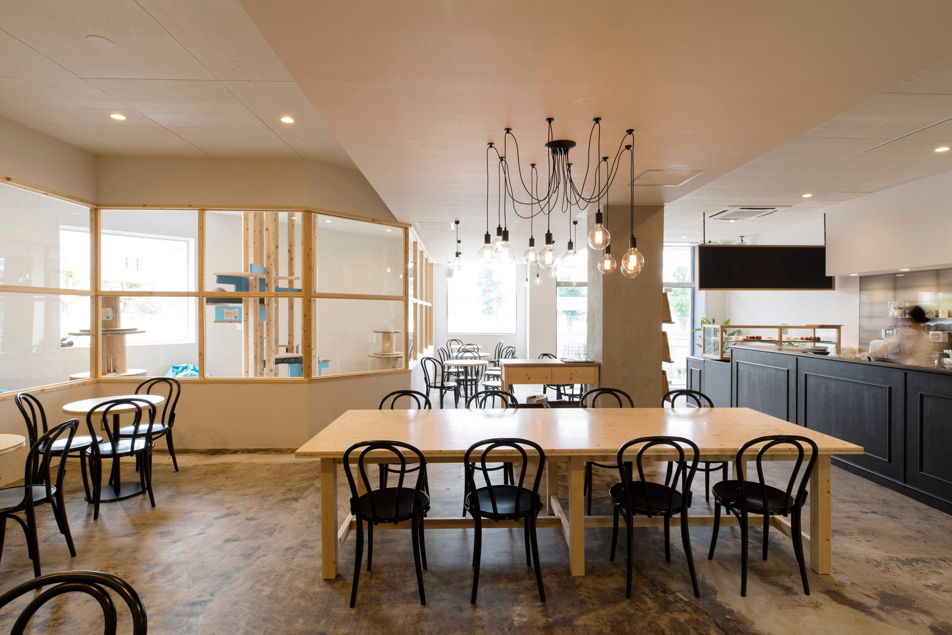 広々としたカフェスペース