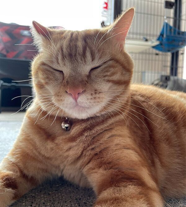 目をつぶるまめさん