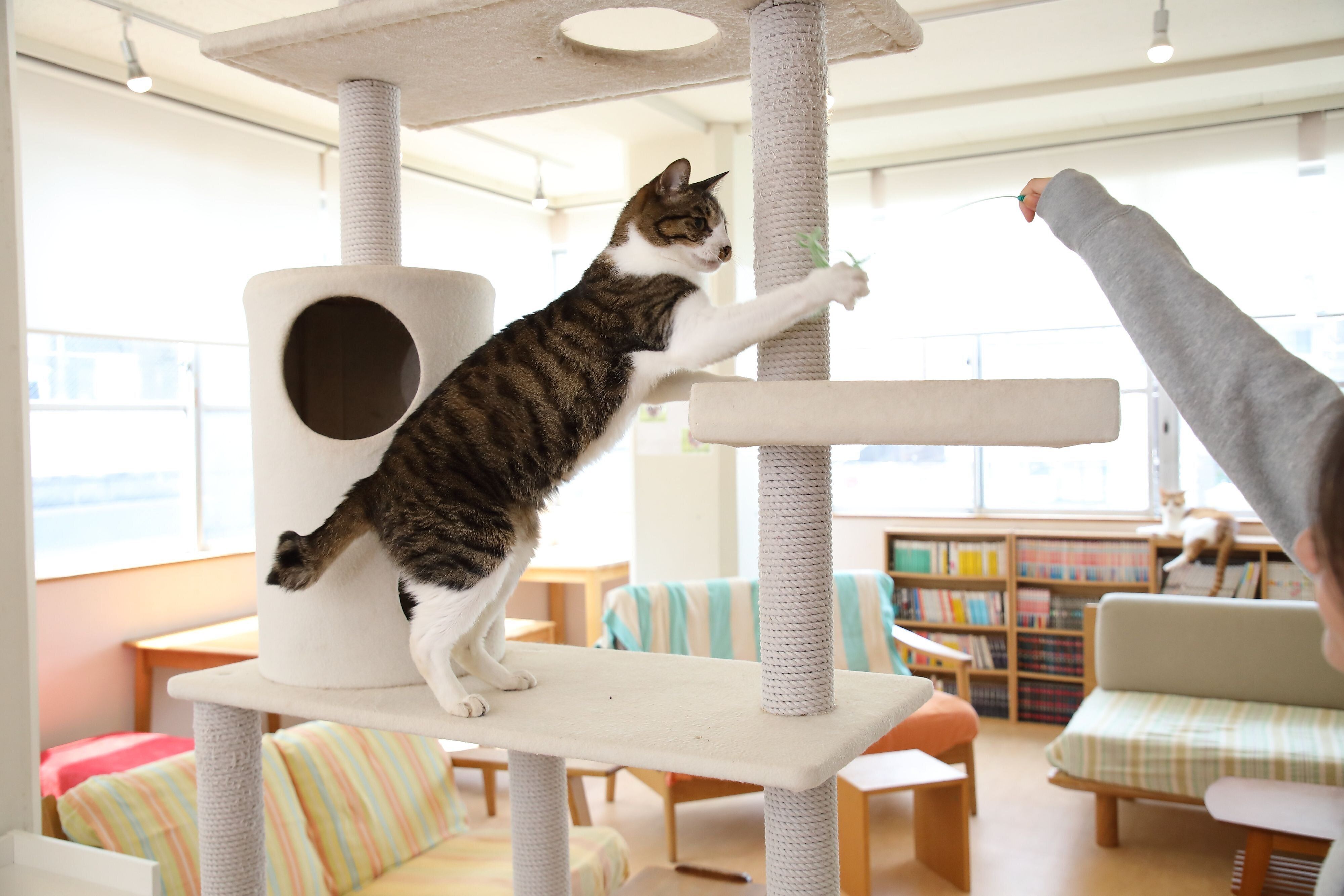 撮影／尾﨑たまき